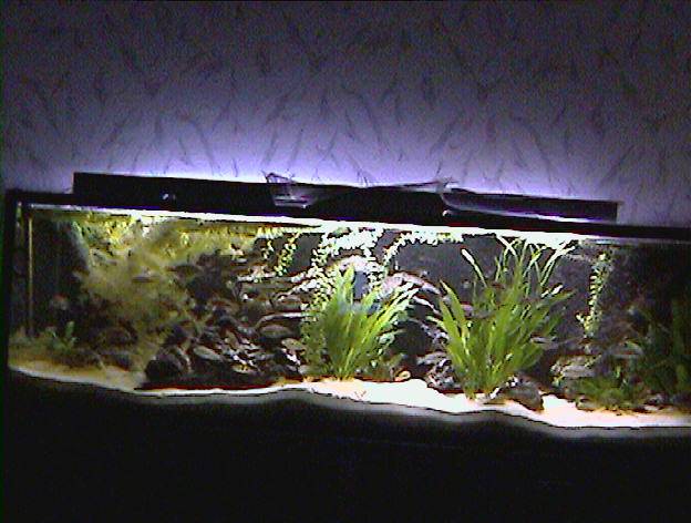 720l Furuaquarium