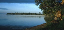 Lake Nabugabo ╘ April Randle