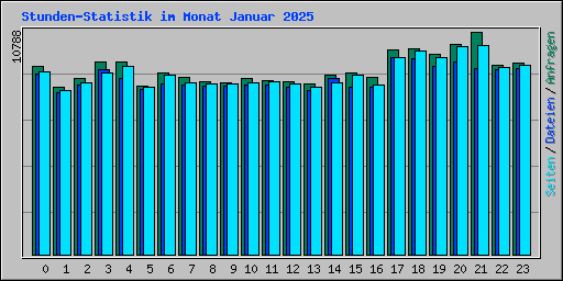 Stunden-Statistik im Monat Januar 2025