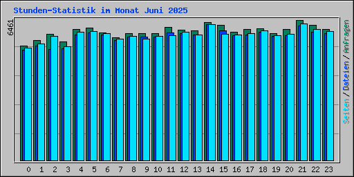 Stunden-Statistik im Monat Juni 2025