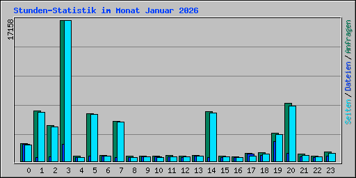 Stunden-Statistik im Monat Januar 2026
