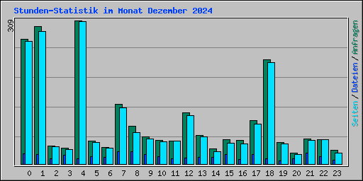 Stunden-Statistik im Monat Dezember 2024