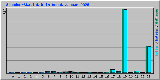 Stunden-Statistik im Monat Januar 2026