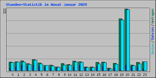 Stunden-Statistik im Monat Januar 2025