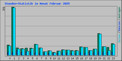 Stunden-Statistik im Monat Februar 2025