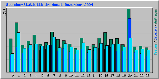Stunden-Statistik im Monat Dezember 2024