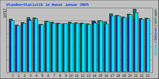 Stunden-Statistik im Monat Januar 2025