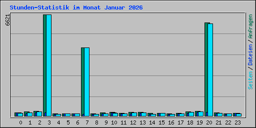 Stunden-Statistik im Monat Januar 2026